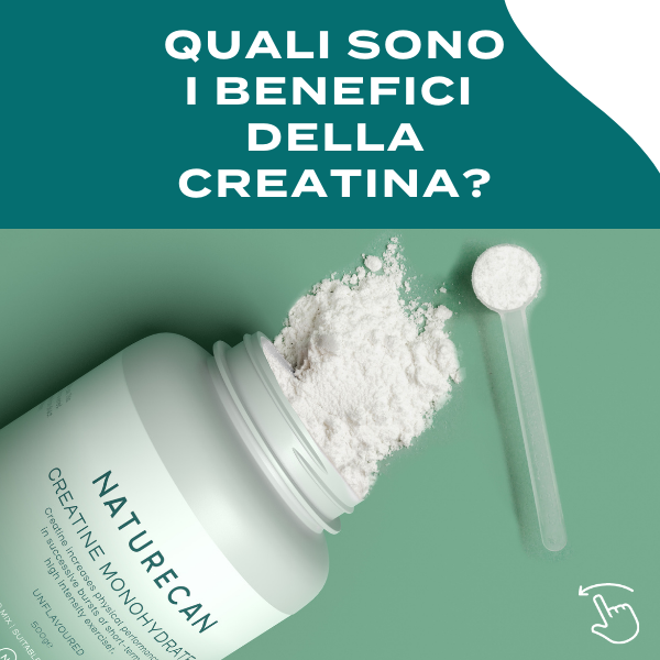 a cosa serve la creatina