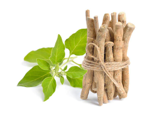 Ashwagandha vs Rhodiola: Qual è meglio per te?