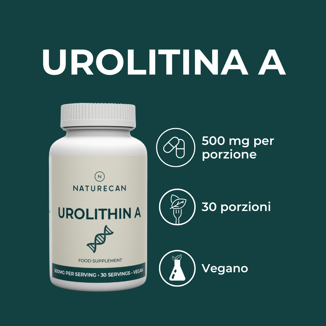 Urolitina A benefici