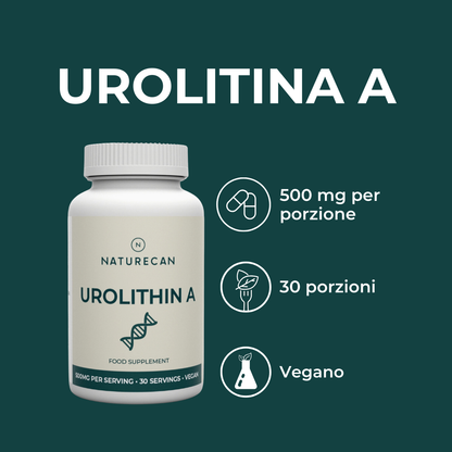 Urolitina A benefici