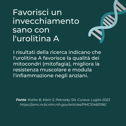 Urolitina A invecchiamento