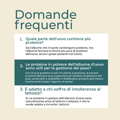 Proteine in polvere dell'albume d'uovo cos'è