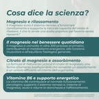 magnesio a cosa serve