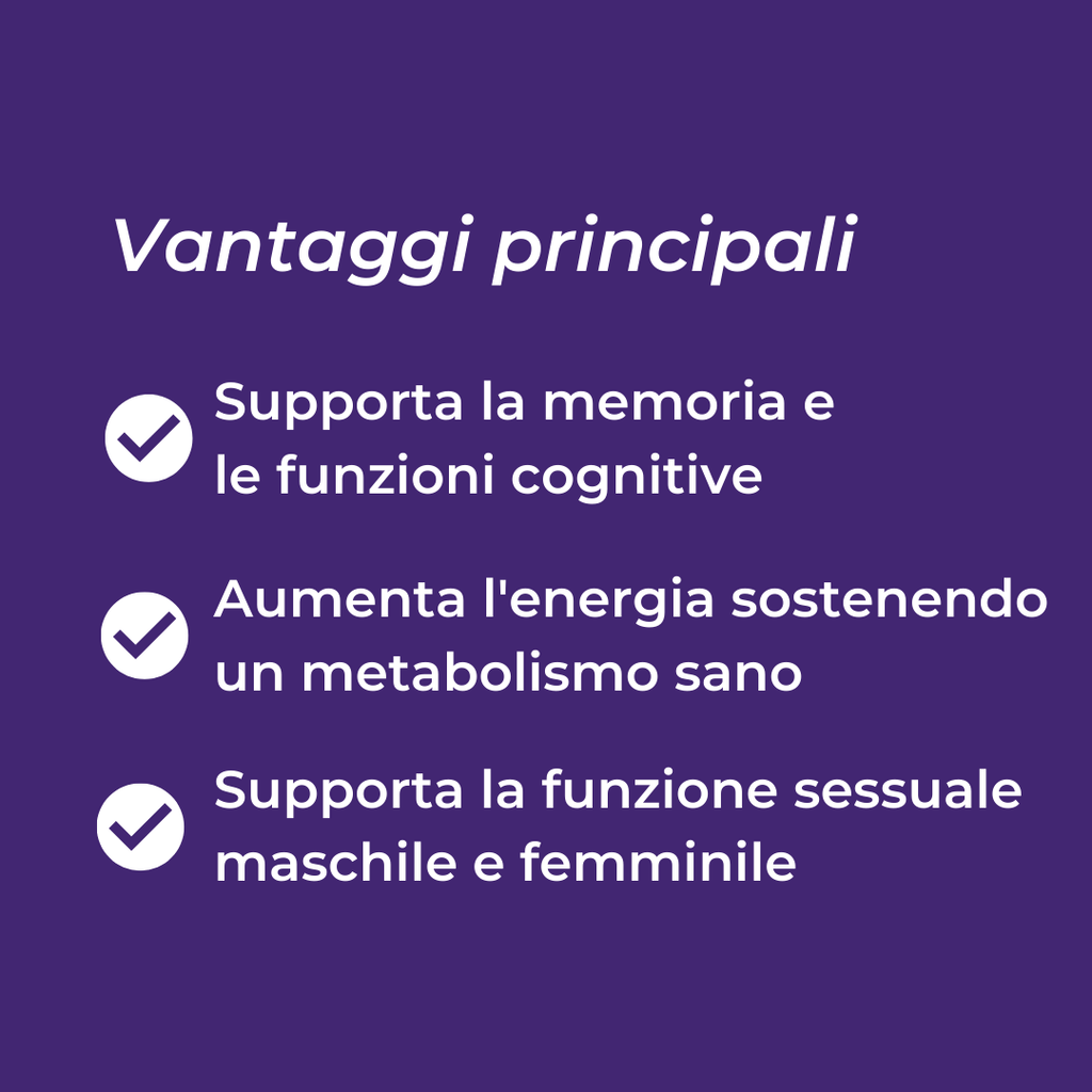 shilajit benefici