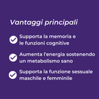 shilajit benefici