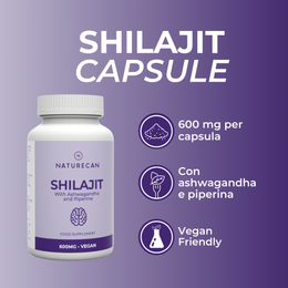 shilajit capsule