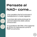 nad+ nmn