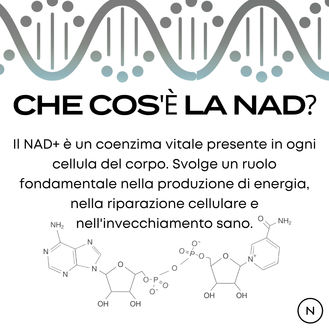 nad+ benefici