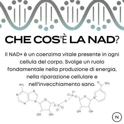 nad+ benefici