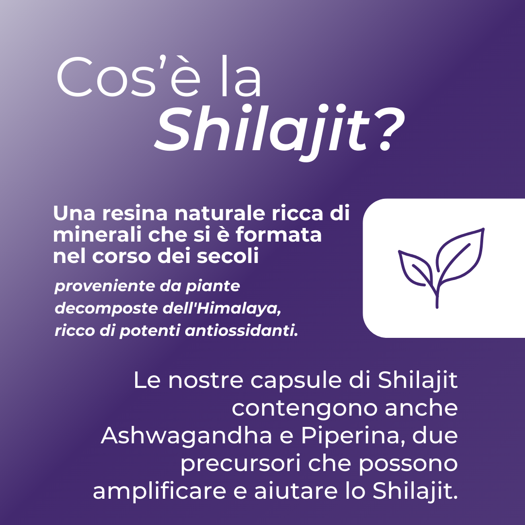 cos'è shilajit