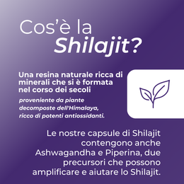 cos'è shilajit