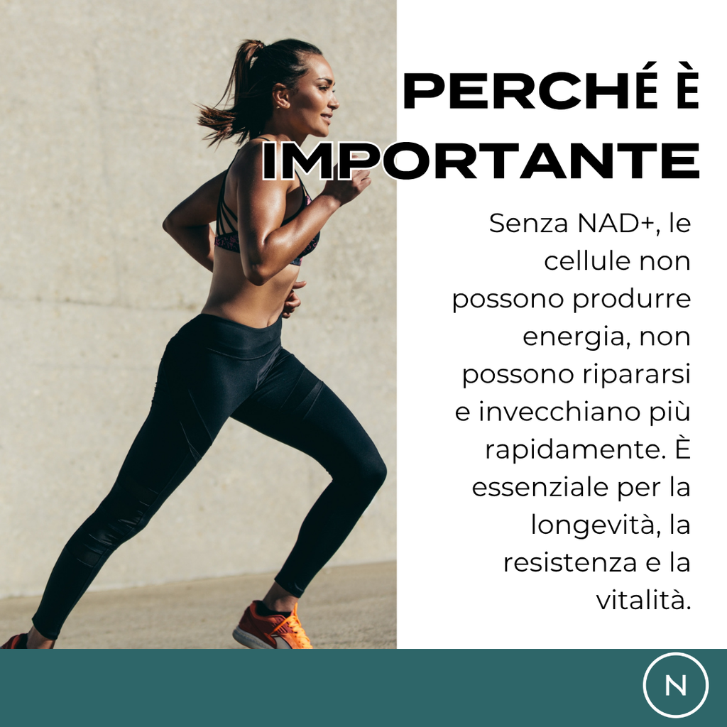 nad+ longevità
