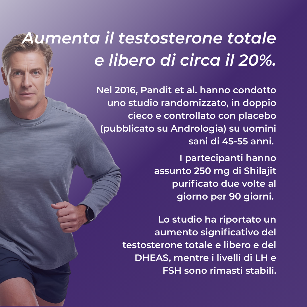 shilajit testosterone