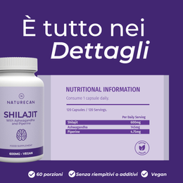 shilajit ingredienti